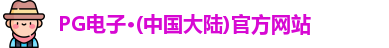 pg电子官方网站